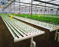 Système de culture hydroponique de laitue agricole NFT Système hydroponique vertical
