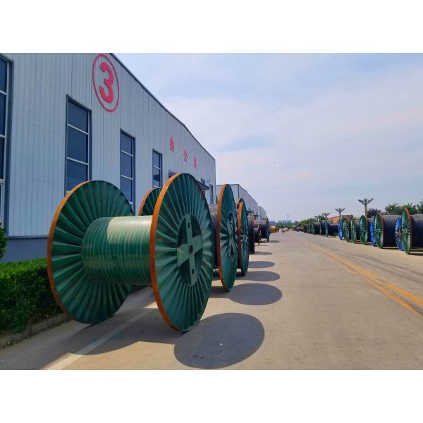 NYY Cable 3Cores 5Cores Low Voltage Cable 0.6/1KV PVC Insulated and Sheathed Cu Conductors