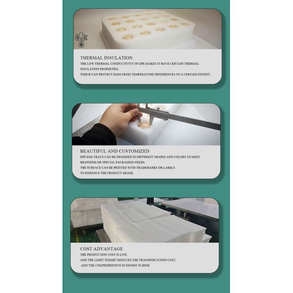 Quality Assurance Custom EPE Egg Foam Tray Oem Wholesale Egg In Egg Carton Eco-Friendly Corrugated Cardboard Egg Paper Packaging Box Customizable Shape with Foam Inserts Transport Display