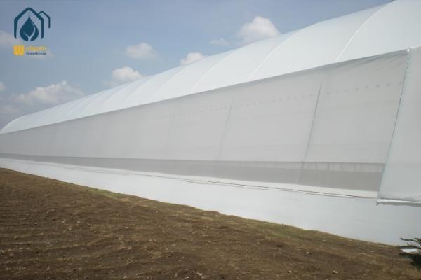 Invernadero moderno agrícola tropical multi-tramos de fácil instalación y bajo mantenimiento