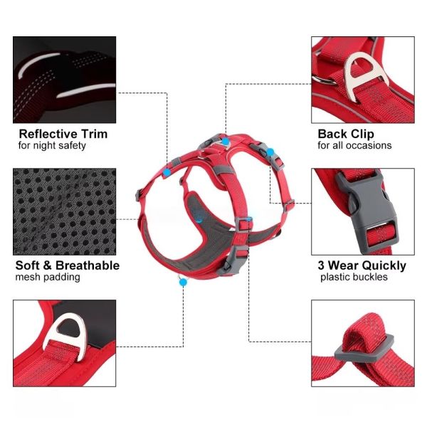 H Shape Comfortable Dog Harness Waterproof Pet Harness Leather Front Chest Design For Summer Use