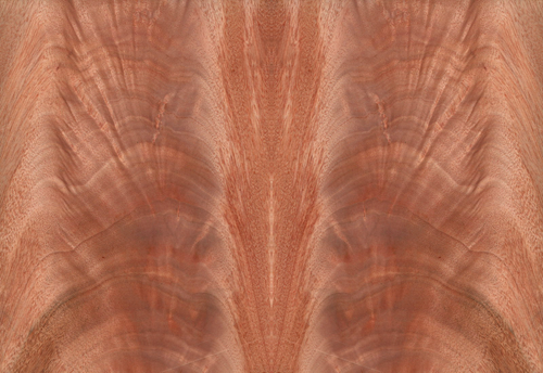 Естественная древесина Okoume лощит специально обслуживание спички выскальзывания зерна Crotch для украшения гостиницы