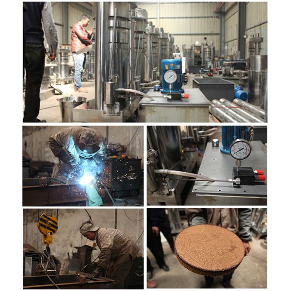 Farms Customized Hydraulic Cocoa Butter Walnut Sesame Oil Extraction Machine for Oil Pressing
