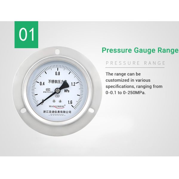 99mm Nominal Diameter Back Connected Pressure Gauge for Accurate Pressure Measurement