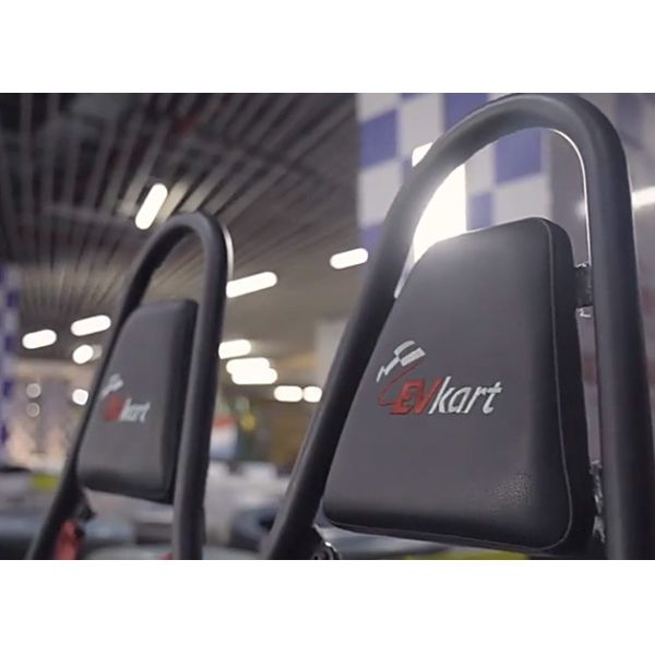 Представление тарельчатых тормозов CE 4000W двойное идет младший Kart участвуя в гонке с дифференциалом