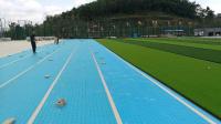 8mm 15mm 30mm Artificial Grass Drainage Underlay For Turf Shock Pad FIFA Standard