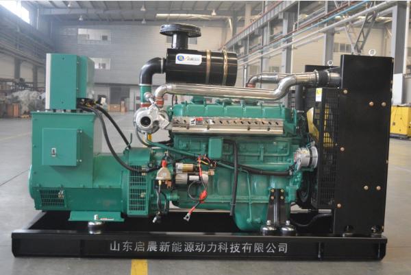 Gas Turbine Generator for Sale Biogas/Natural Gas/LPG