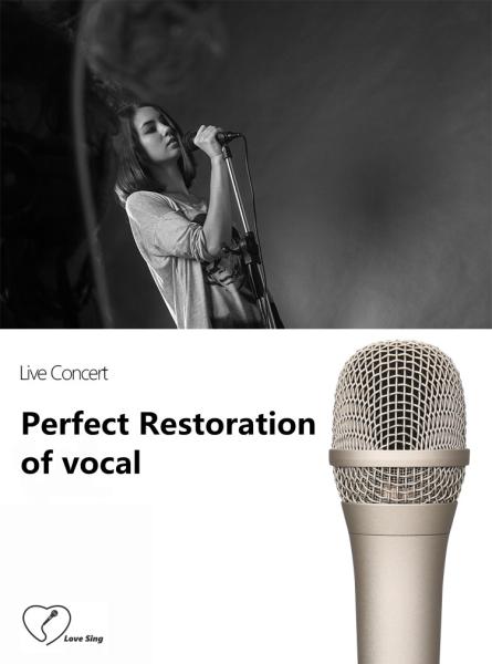 Clear Voice Wired Studio Condenser Microphone 12mv/PA GESTTON