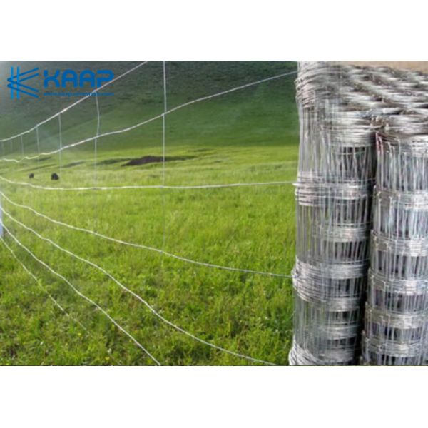 Cattle Fence Stainless Steel Woven Mesh , Woven Steel Mesh Panels Rust Proof