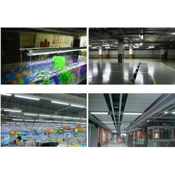 Tri emergencia de la lámpara 20w de la prueba del alto polvo anti del lumen, tri prueba LED IP66