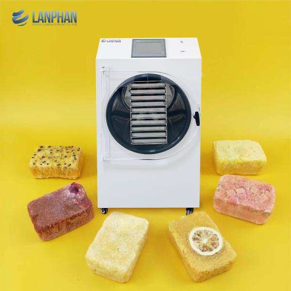 10 Trays Vacuum Freeze Dryer Machine Candy Fruit Tea Milk Food Freeze Dryers For Home Use