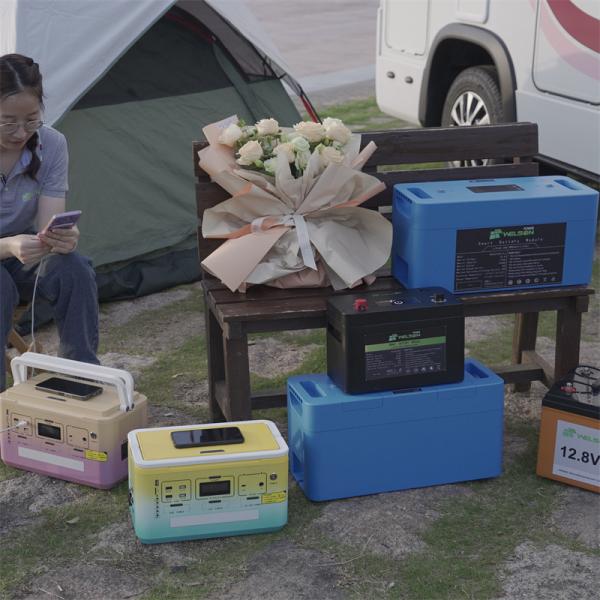 12 Volt RV LiFePO4 Battery 12v 100ah 120ah 7ah 50ah 60ah Bms Electric Car Scooter Motorcycle Boat