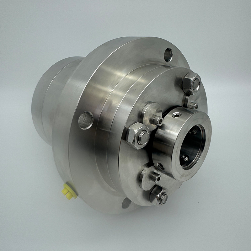 Flowserve BM-415505 SCC Mechanical Seal DWG No 1T17671 for Flavourtech Pumps