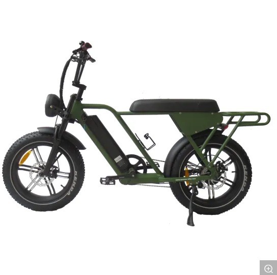 48V250W-500W-750W-1000W Motor Step-Through Electric Bikes with Aluminum Alloy Frame