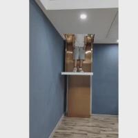 Mais econômico Cabina nua Elevador hidráulico para casa 0,25 M/S Velocidade