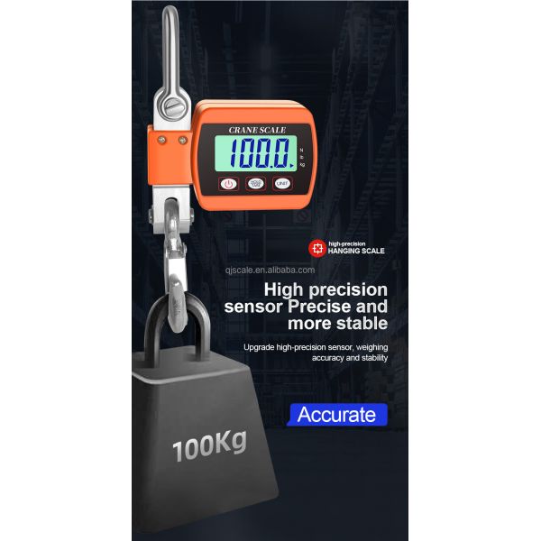 Hanging Scale Digital Electronic 300kg Mini Gram Feature LCD/LED Display Tare Function for Luggage Weighing OEM/ODM