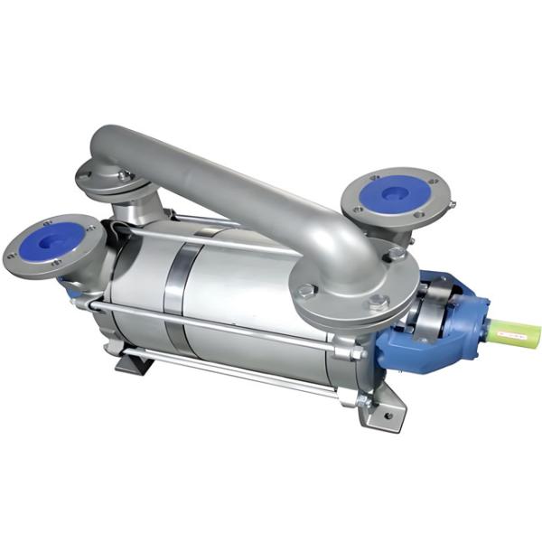 Flowserve 2 Stage Liquid Ring Industrial Vacuum Pump 500m3/h Flow Rate