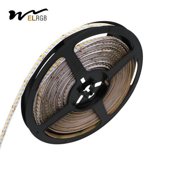 240LEDs 2700K Led Light Strip 2835 24V Quente Branco Led Strip Dimmable
