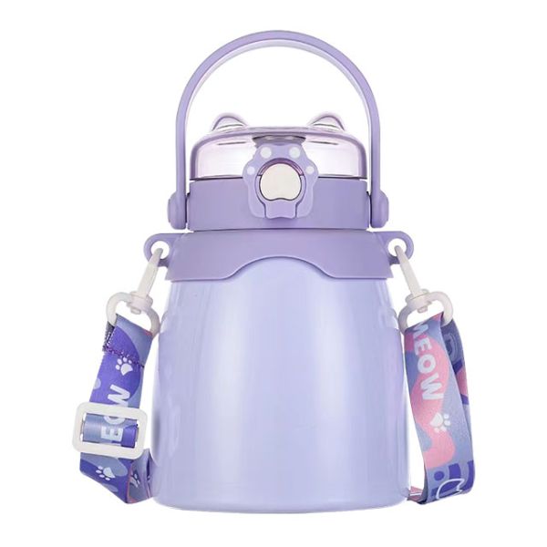 Present Eco Friendly Custom Printed Thermal Double Wall Insulated Stainless Steel Water Bottle with Handle Lid