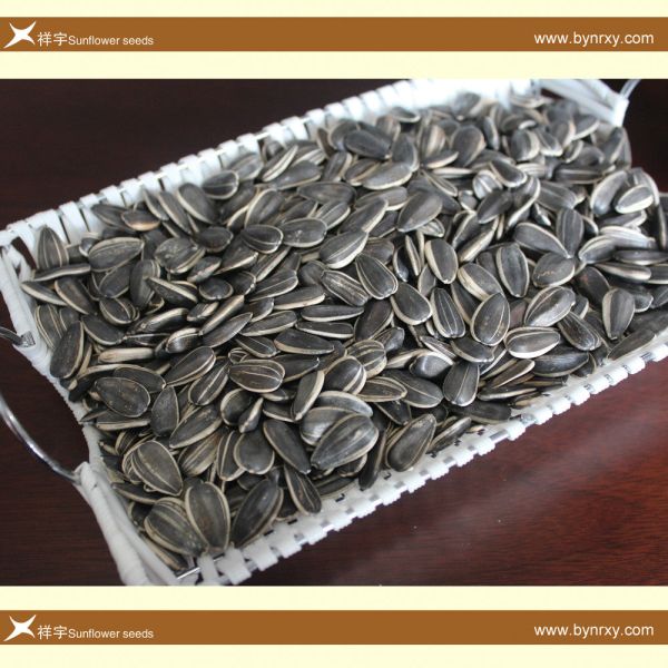 China High Quality Organic Melon Seeds Wholesale Bulk Fresh Snack Fry Sunflower Seeds Kernel