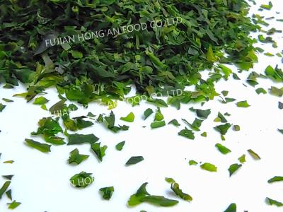 Calcium Rich Aonori Seaweed Powder Ulva Lactuca As Seasoning To Sprinkle On Fried Food
