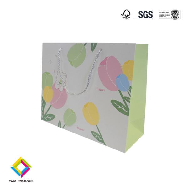 Clothing Paper Bag Custom Printed Takeaway Shopping Paper Bag Craft Paper Gift Bags