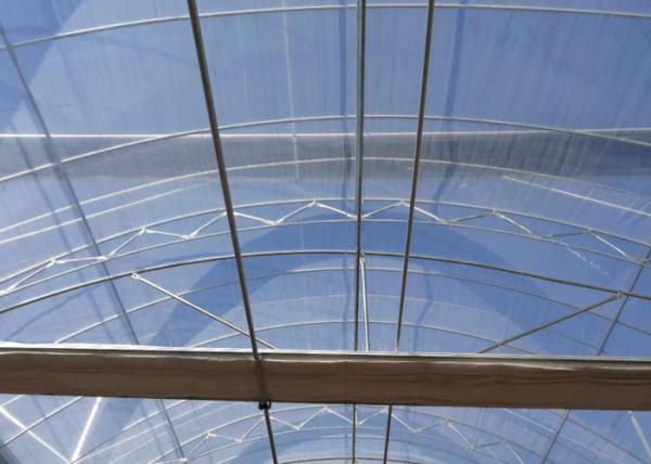 Fruits Flower 8m Single Span PE Plastic Film Greenhouse