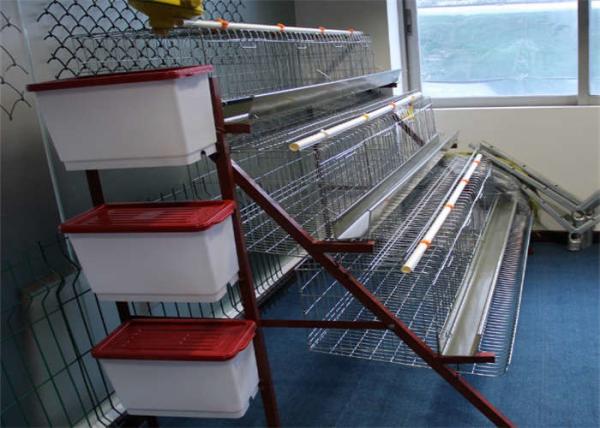 Hot Dipped Galvanized Steel Welded H Type Battery Cages For Broilers