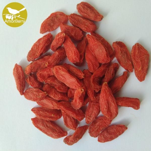 Amorberry Goji Berry/Wolfberry/Lycium Barbarum organic medlar wholesale from Ningxia factory