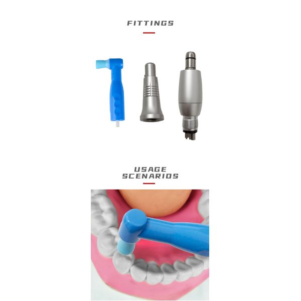 Полярирование зубов Профиль зубов Ручная кладь типа E Ручная кладь двигателя воздуха