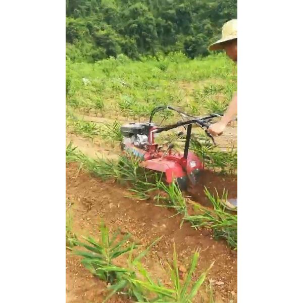 4KM/H Work Speed Hand Push Farm Management Machine for Orchard Powered by Diesel Engine