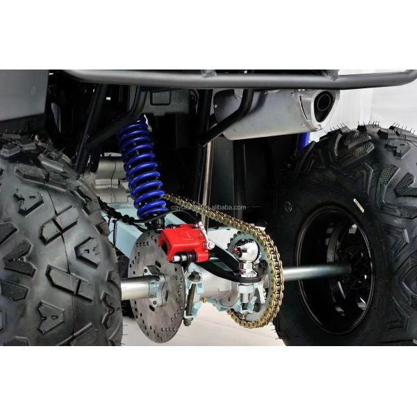 1000cc 4x4 Off Road Diesel ATV with Payload Capacity 100-200kg