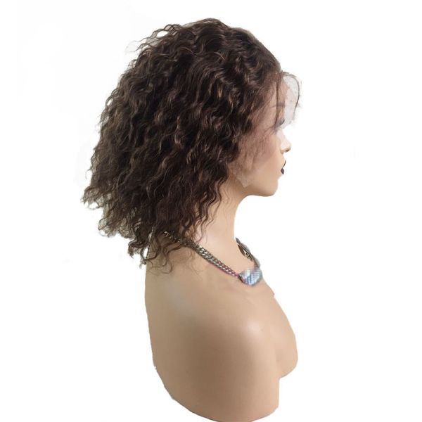 Curly Human Hair Wig 100% Brazilian HD Full Swiss Lace Silk Top Injected All Hand Made