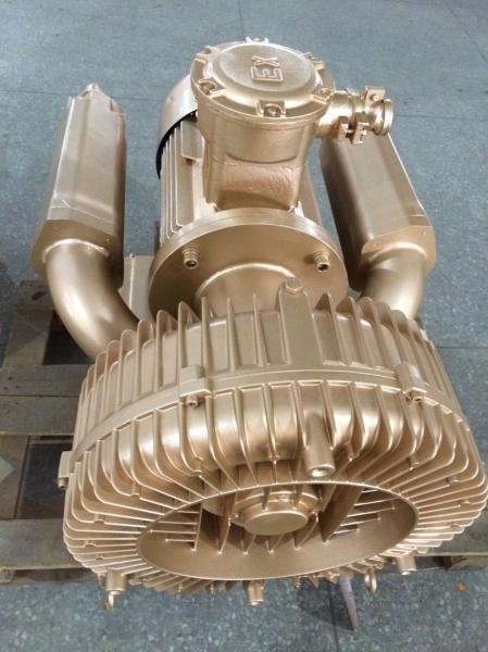 Anti Corrosinon Electric Goorui Side Channel Blower Pump Anti Explosion