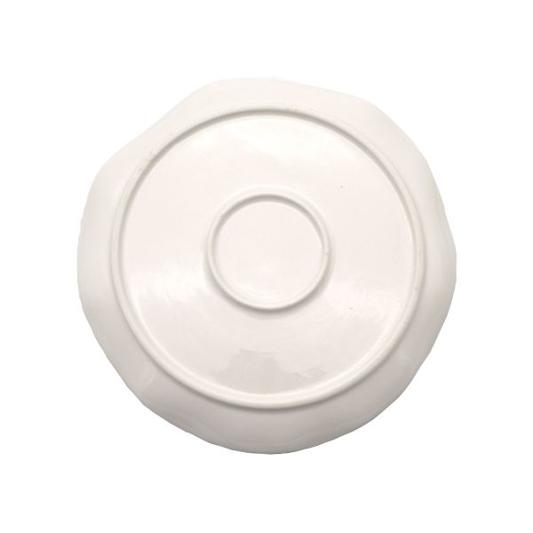 Ceramic Fish Plate for Serving Fruit Salad Pasta Main Course Dishwasher and Microwave Safe Irregular Shape
