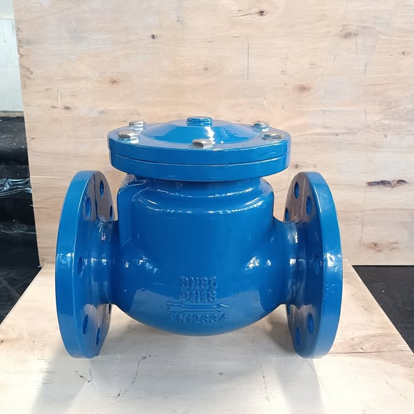 3000LB 4500LB Ductile Iron Swing Check Valve For Water Oil And Gas Pipelines