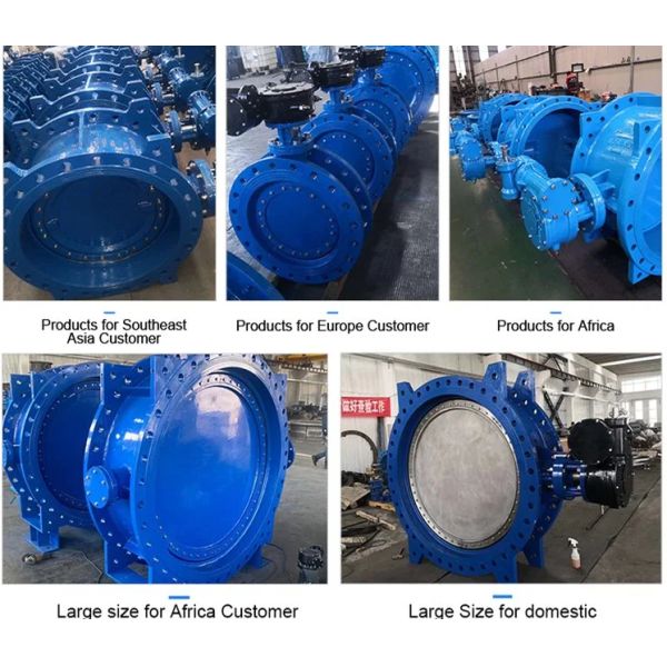 Полное свидетельство Бабочья клапан DIN BS JIS Flange DI CI WCB корпус двойной фланцевой клапан