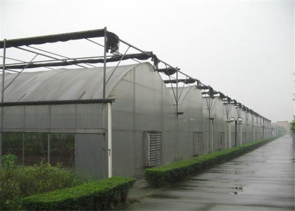 Multi Span Plastic Film Greenhouse For Aquaculture And Livestock Breeding