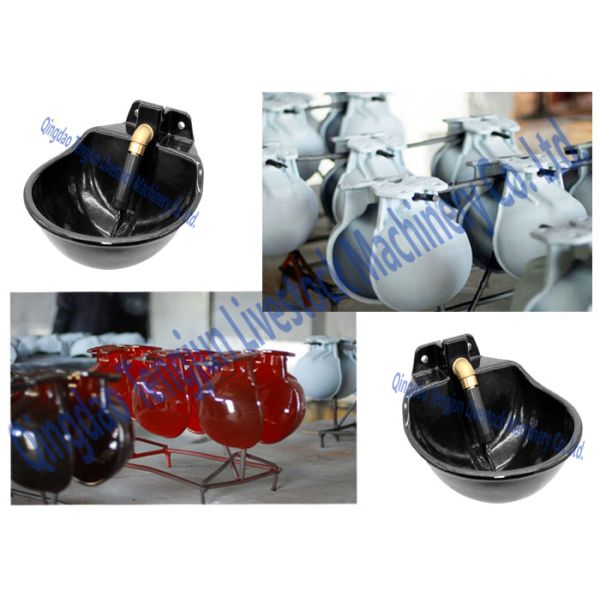 4 Hole Design Horse Water Bowl Durable Enameled Smooth Surface