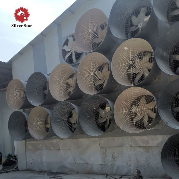 Poultry Cage/cages for Laying Hens Used/chicken Breeding Equipment