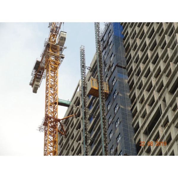 対のおり2000KGの建築現場のラック・ピニオンの起重機