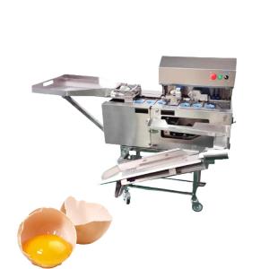 Egg Processing Machine