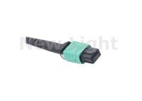 Noyau multi du mode OM3 8 de MPO de câble vert de fibre 10 mètres pour QSFP/émetteur-récepteur