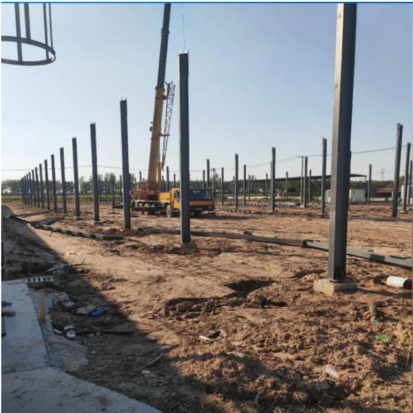 Prefabricated Galvanized Steel Structure Farm House With Large Span