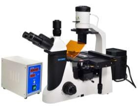 Epi LED Fluorescent Microscope Trinocular 40X 1000X Biology Lab Microscope