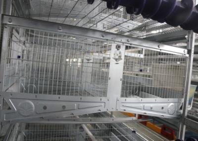 Breeding 120 Capacity Poultry Cage Equipment ，Poultry Raising Equipment