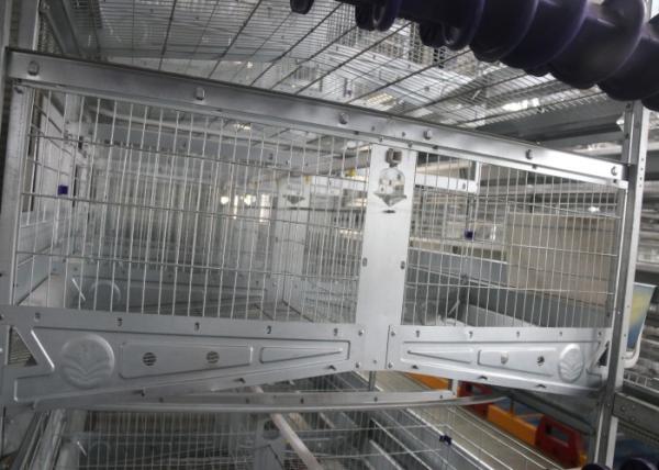 Breeding 120 Capacity Poultry Cage Equipment ，Poultry Raising Equipment