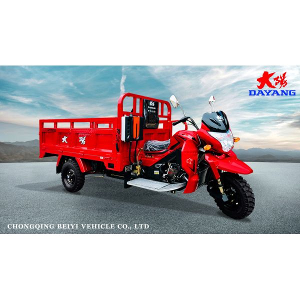 800W DAYANG DY-R1 RUITENG 250cc Tricycle cargo pour lourds CCC Trois roues moto