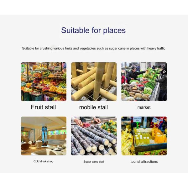 30-50kg/h Sugar Cane Processing Types Manual Juicer Stainless Steel Extractor Squeezer