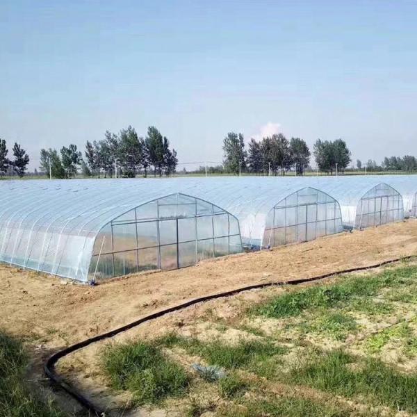 Estufa do túnel do filme da casa da aro do crescimento vegetal da agricultura